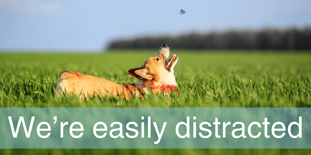 How To Eliminate Distractions To Achieve More / Jase In The Know
